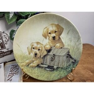 Vintage Knowles Field‎ Trips Plate Golden Retriever Box & COA Lynn Kaatz 1991